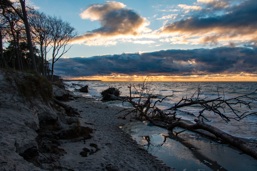 Spuren im Sand