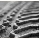 Spuren im Sand