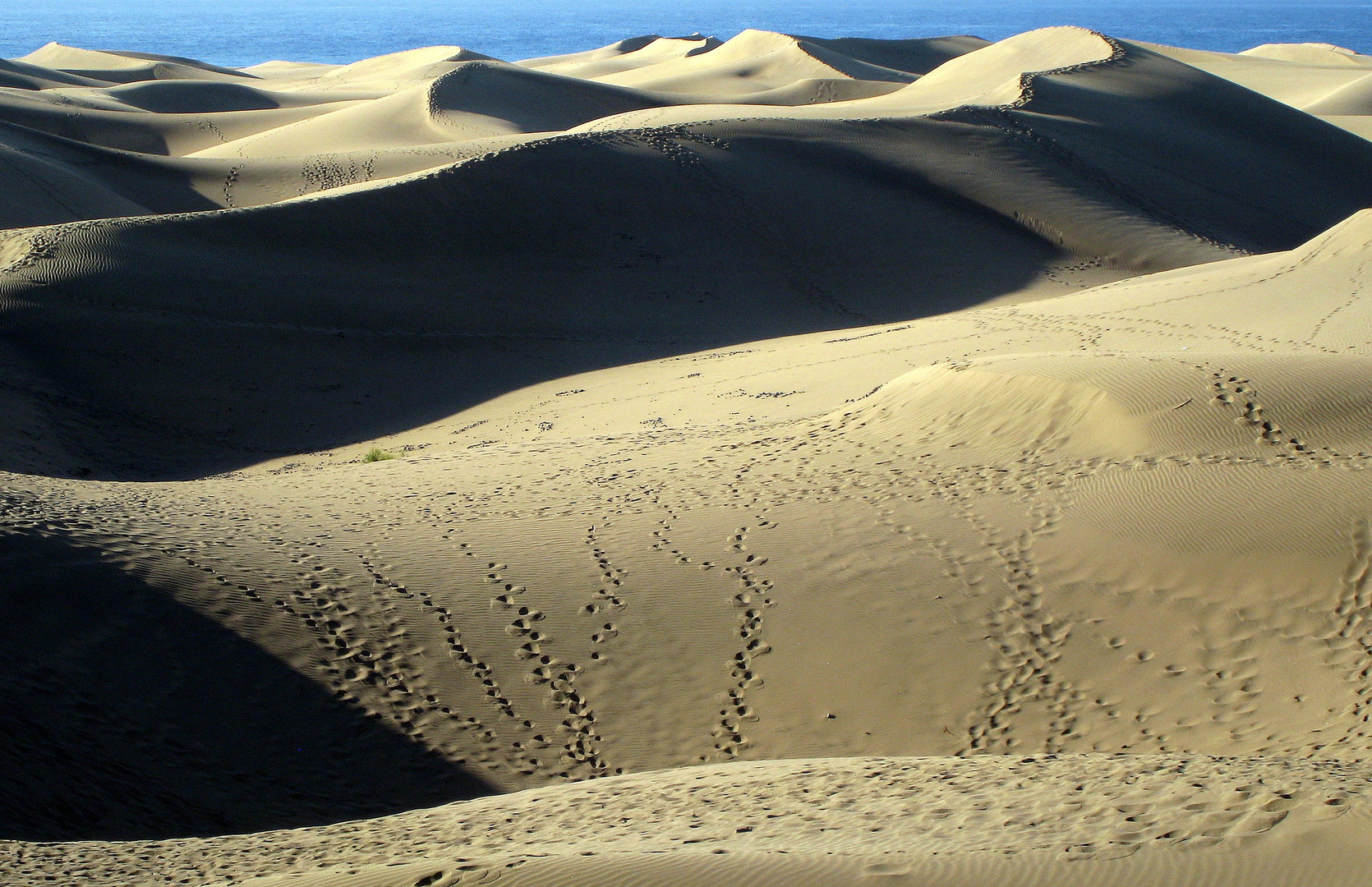 "Spuren im Sand": Die Dünen von Playa del Inglés, Gran Canaria...