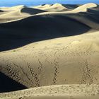 "Spuren im Sand": Die Dünen von Playa del Inglés, Gran Canaria...