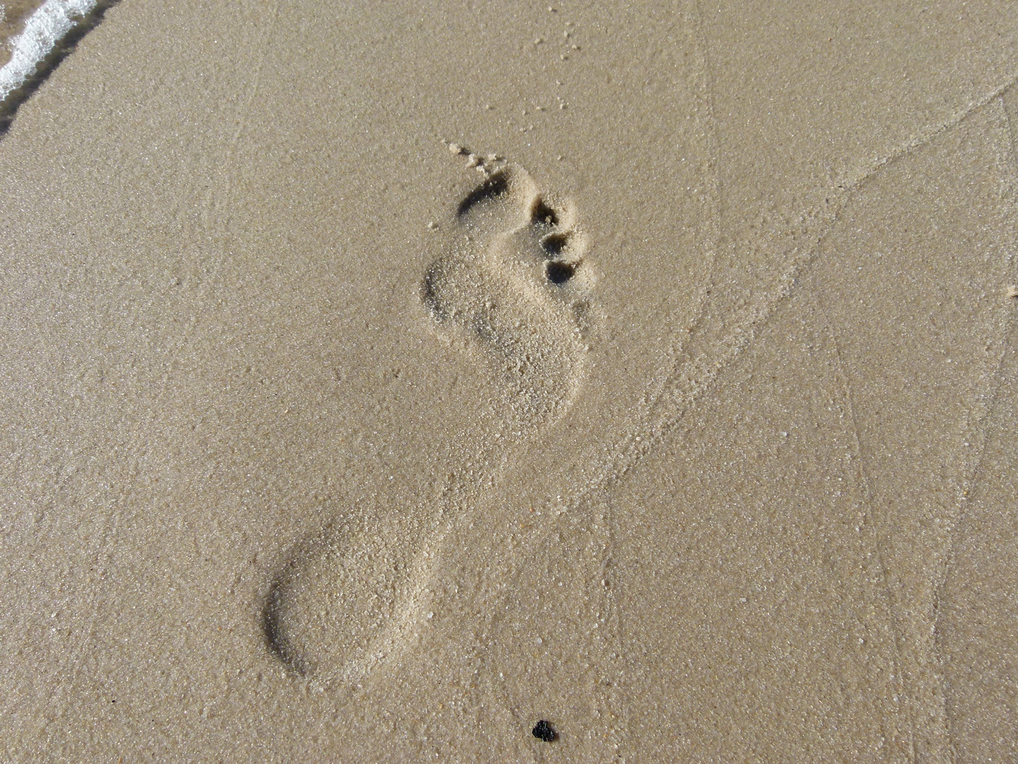 Spuren im Sand die ich gerstern .......