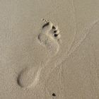 Spuren im Sand die ich gerstern .......