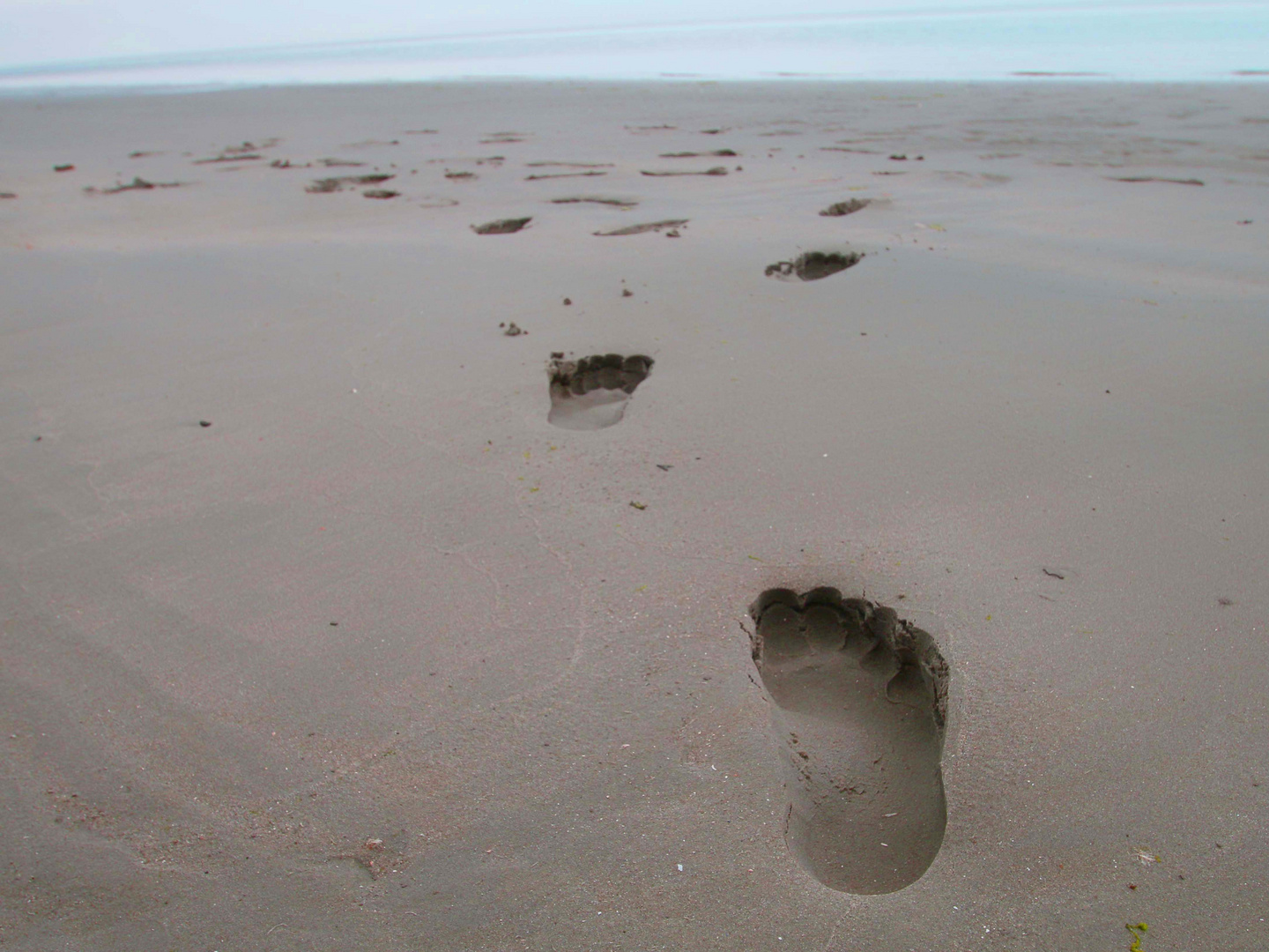 Spuren im Sand die ich gestern noch fand