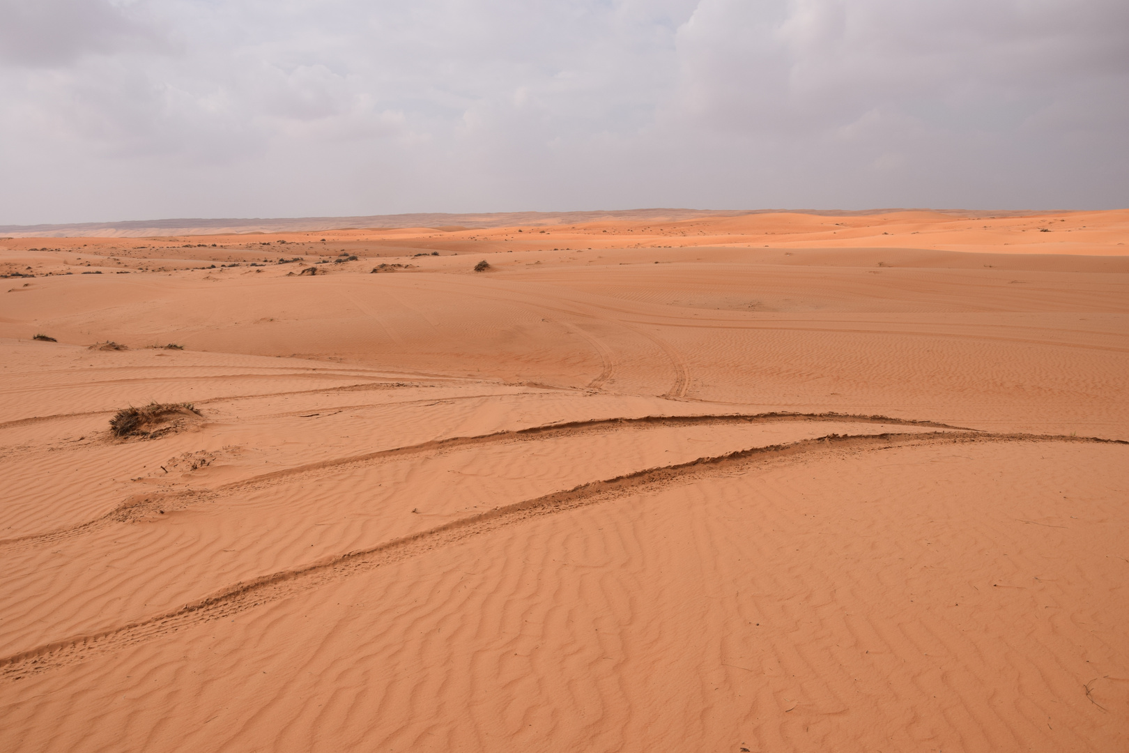 Spuren im Sand