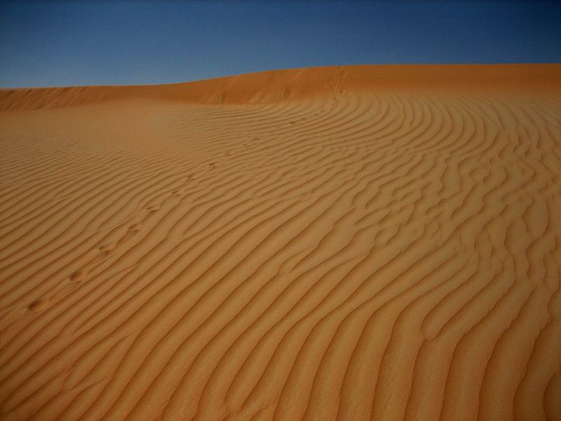 Spuren im Sand