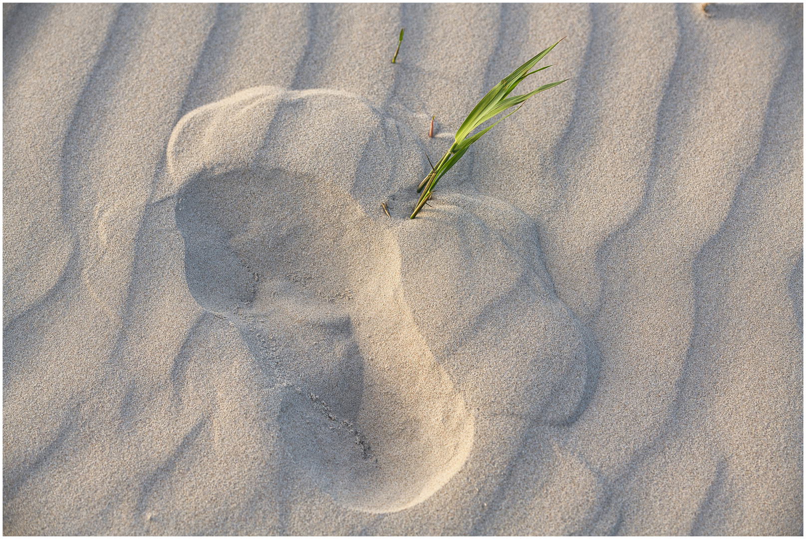 Spuren im Sand