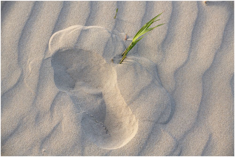 Spuren im Sand