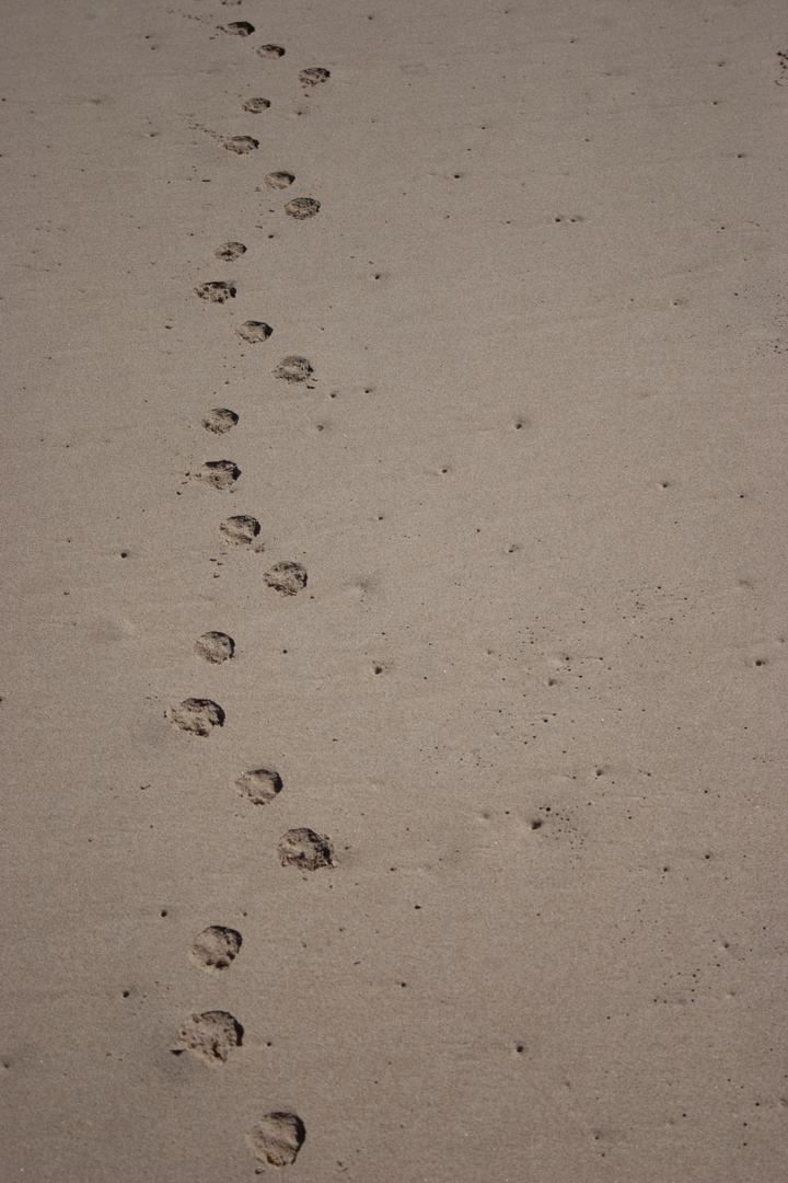 Spuren im Sand