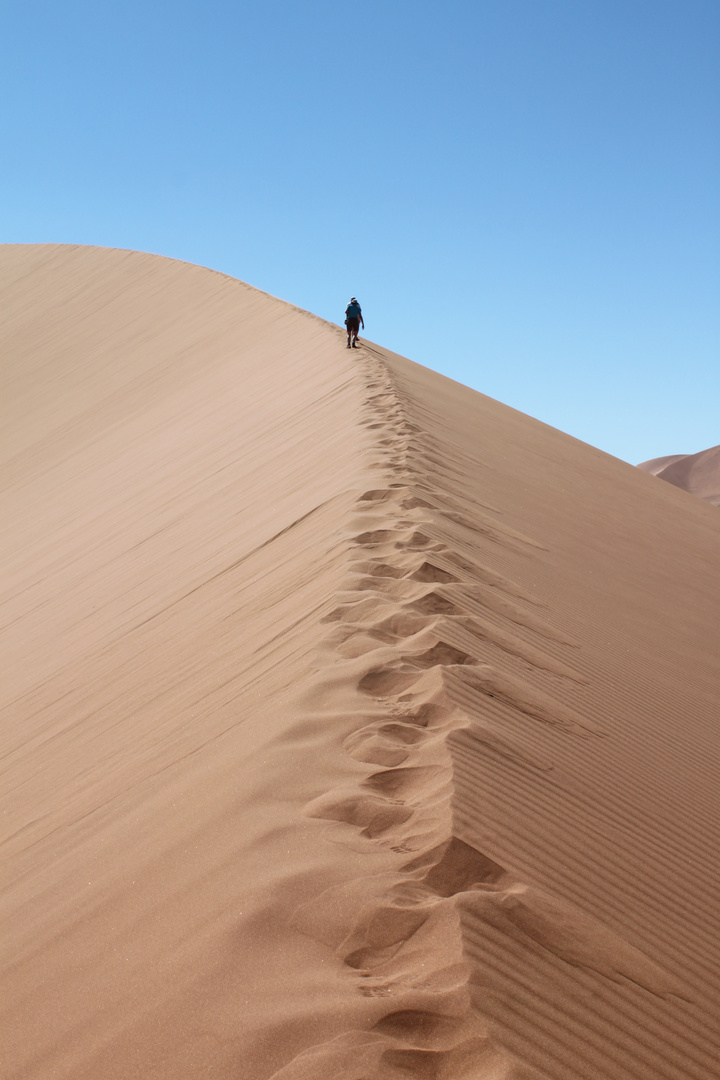 Spuren im Sand