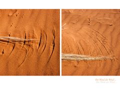 Spuren im Sand