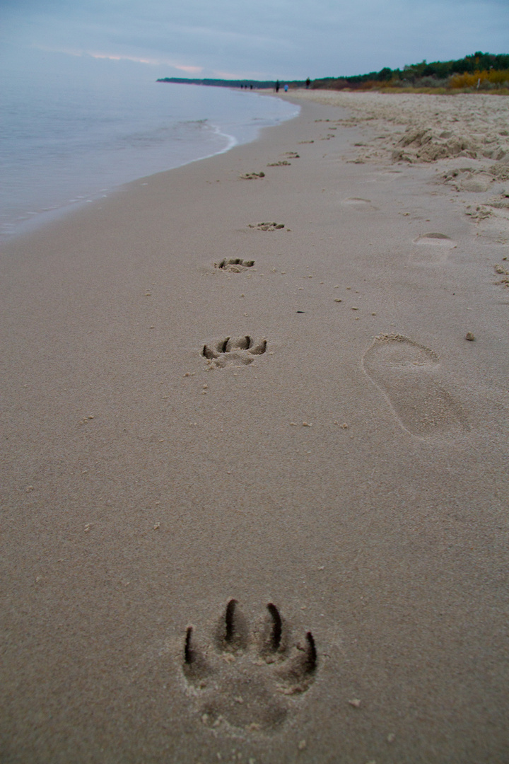 Spuren im Sand