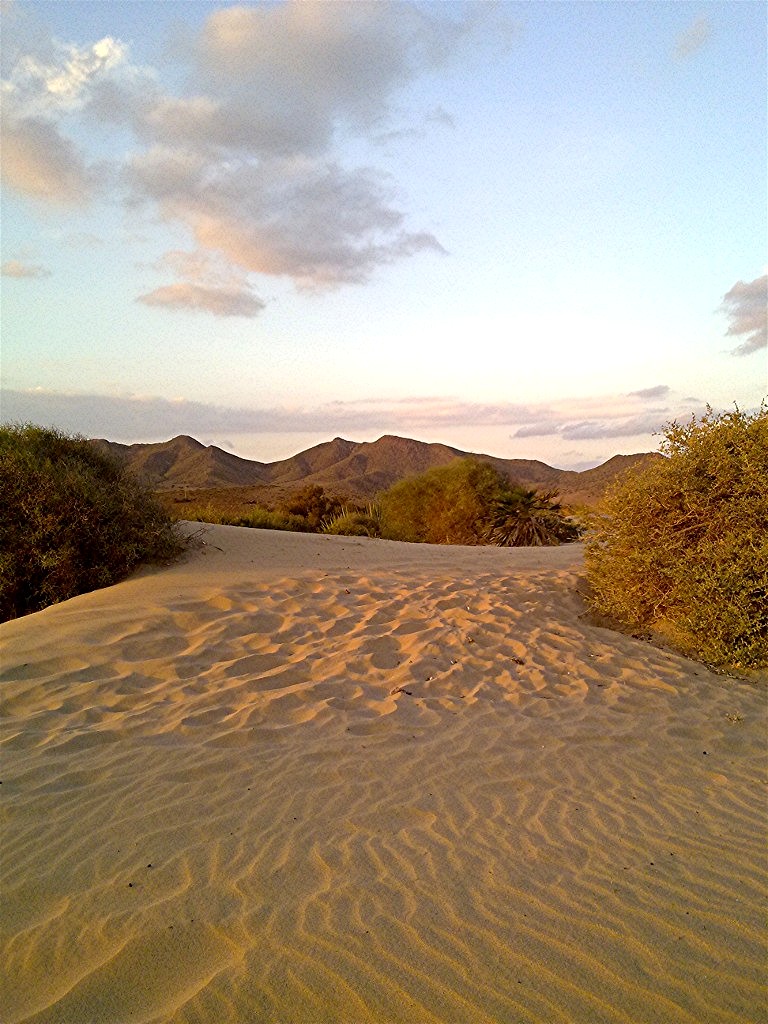 Spuren im Sand