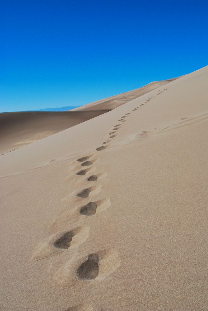 Spuren im Sand