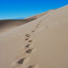 Spuren im Sand