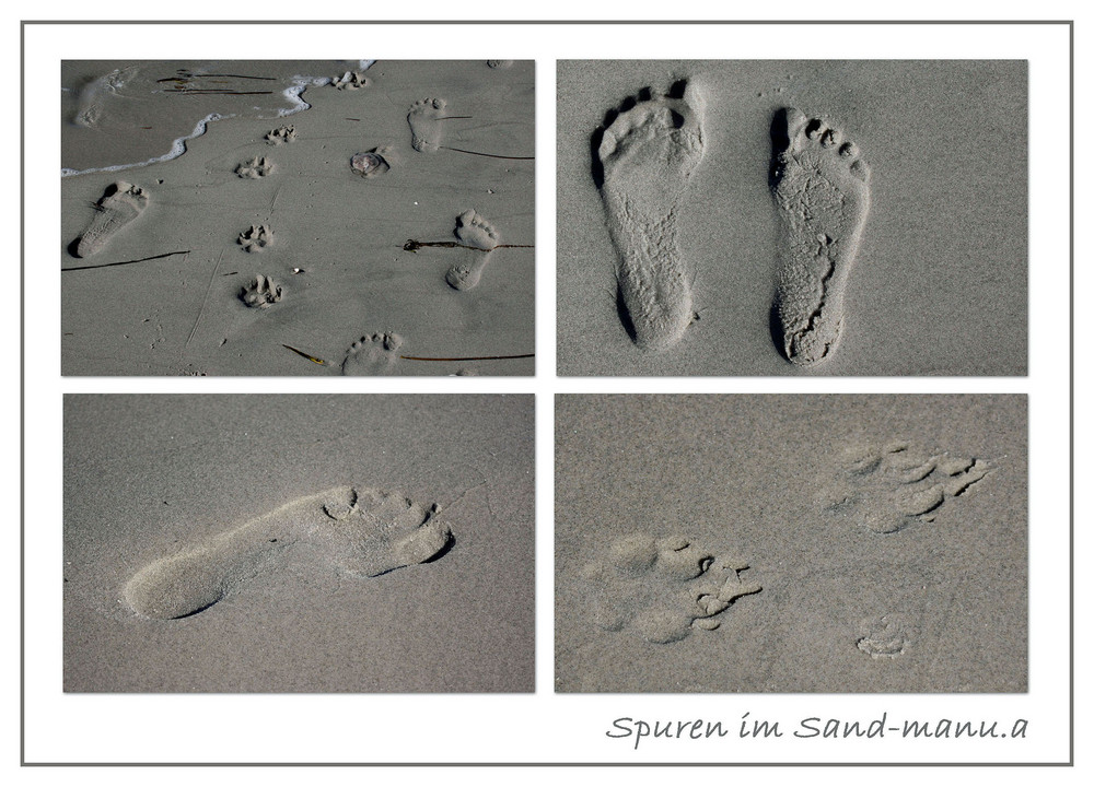 Spuren im Sand