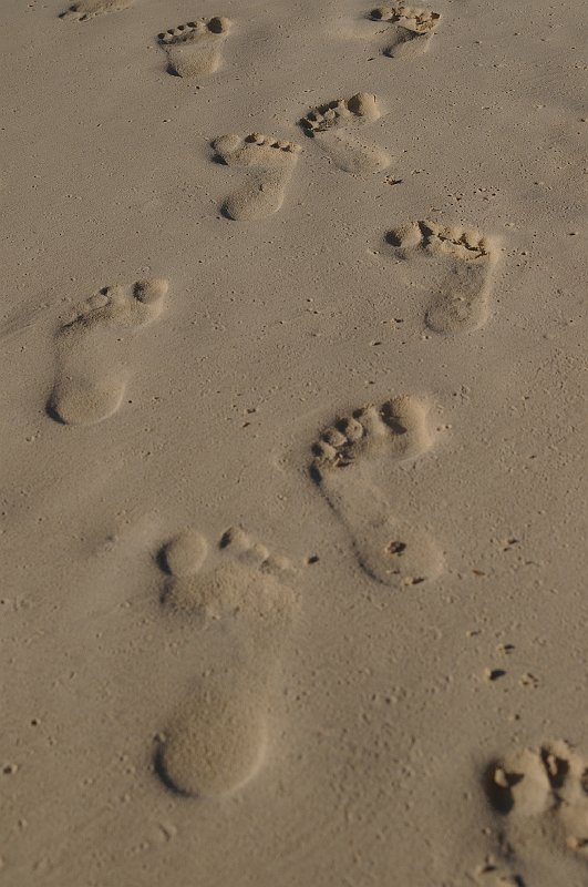 Spuren im Sand