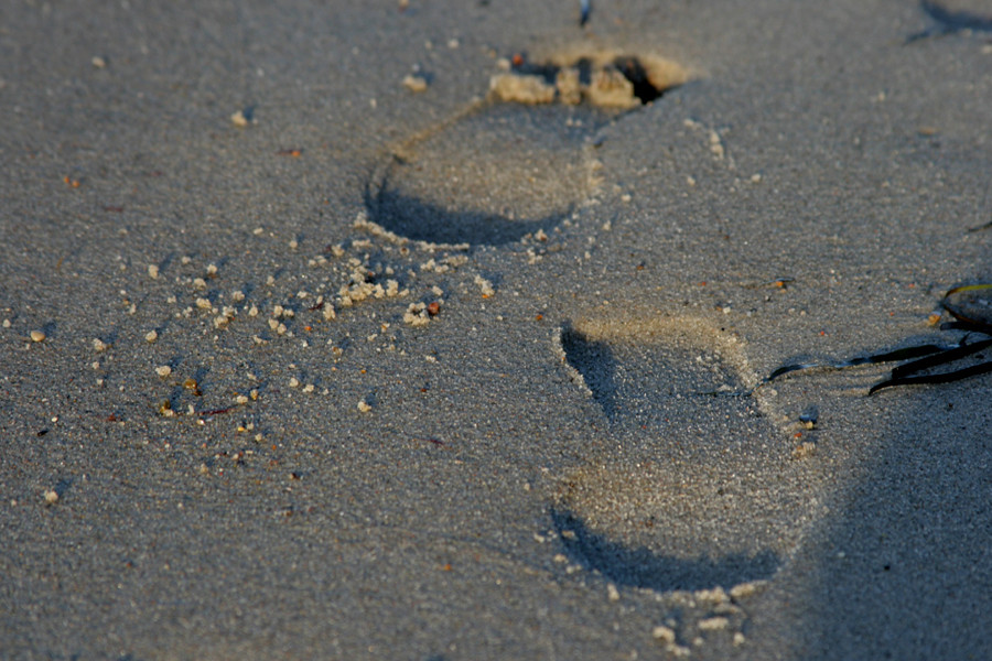 Spuren im Sand