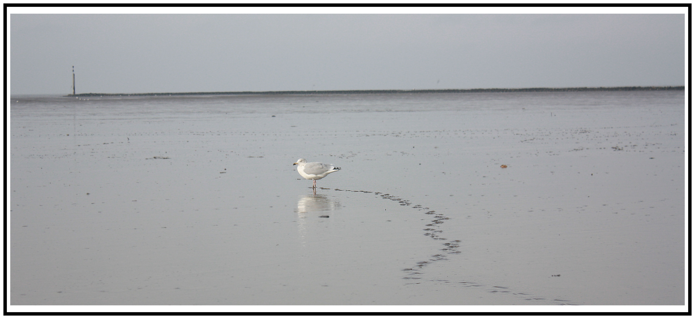 Spuren im Sand