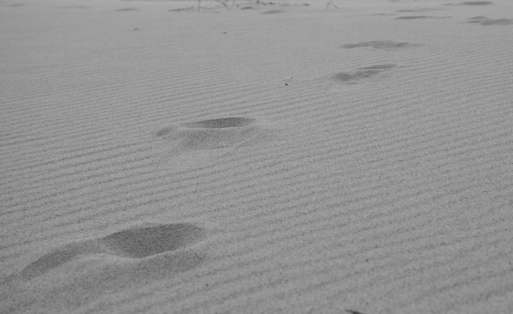 Spuren im Sand - footprints at the beach