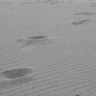 Spuren im Sand - footprints at the beach