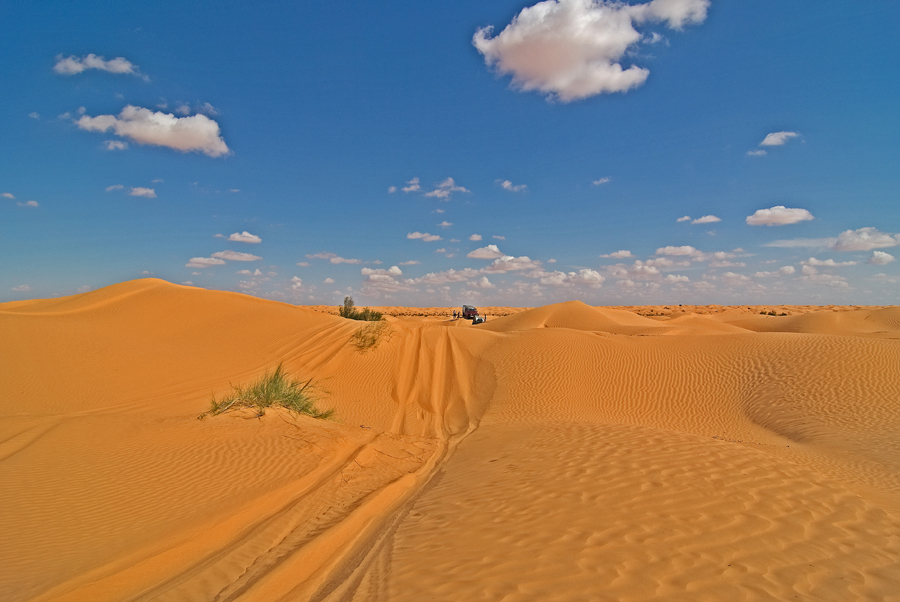 Spuren im Sand II