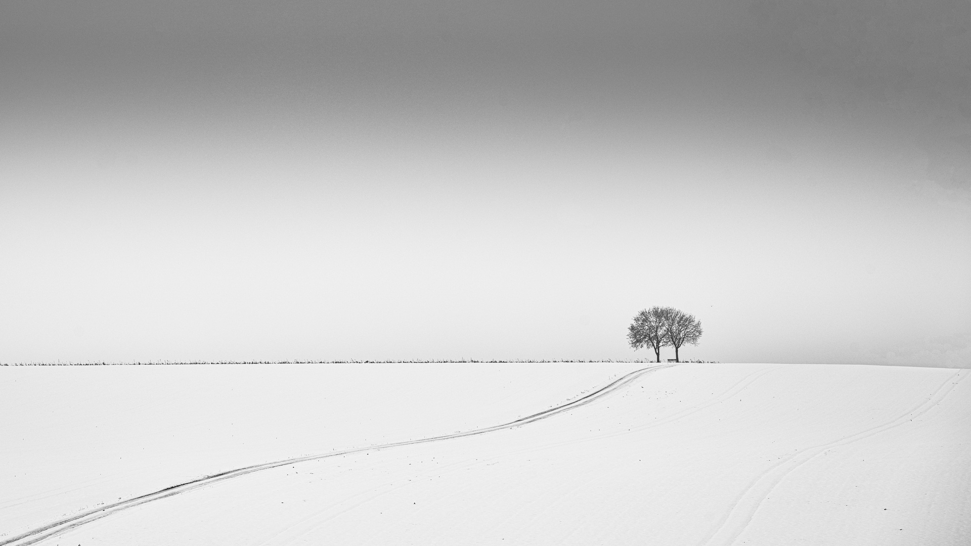 Spuren im Schnee