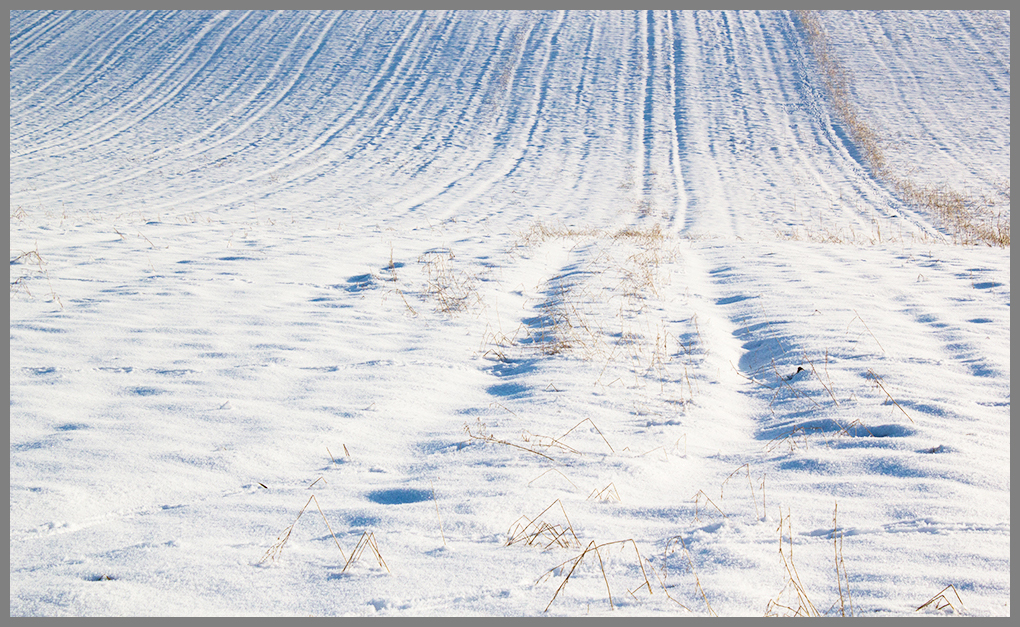 Spuren im Schnee