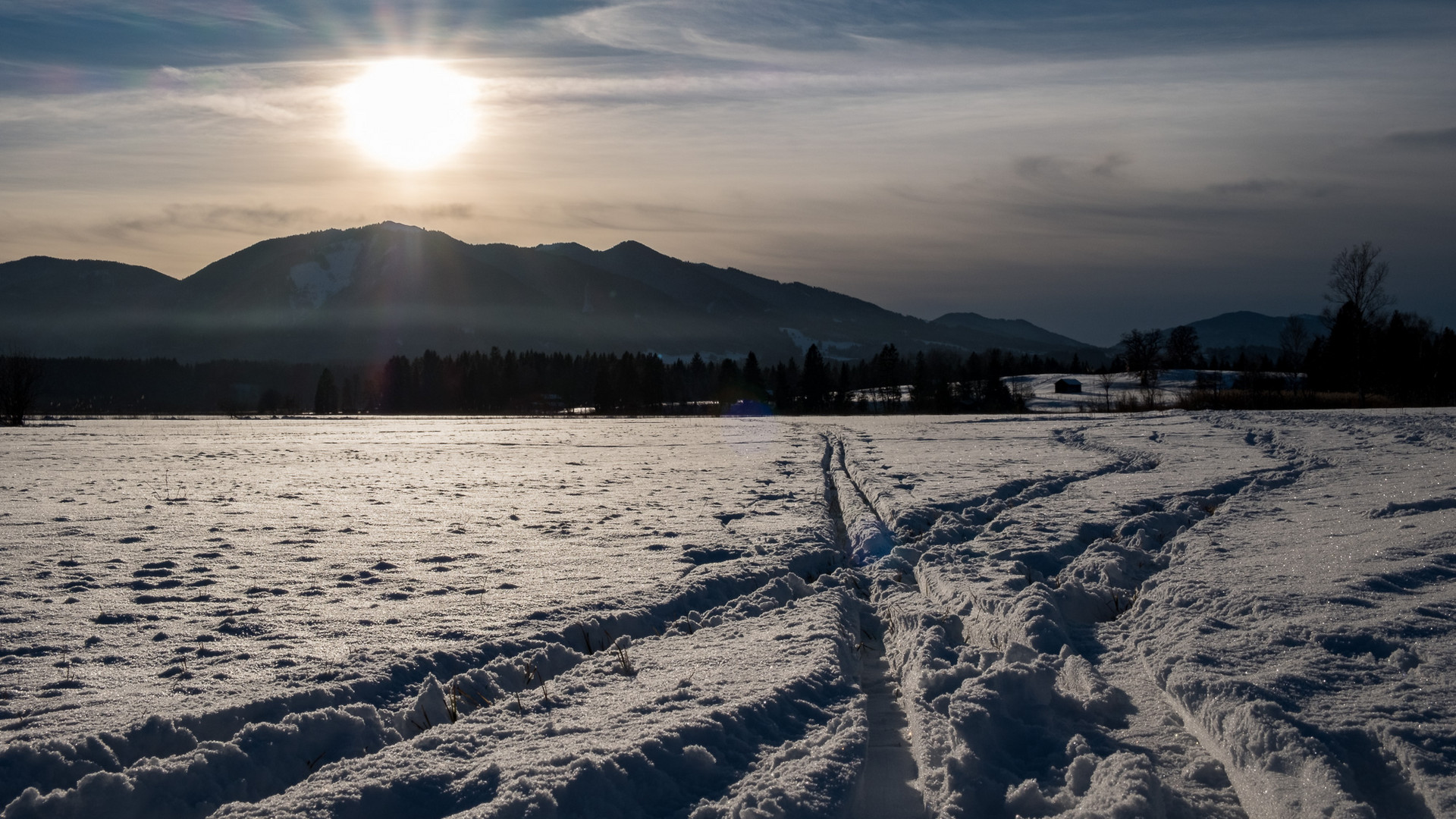 Spuren im Schnee