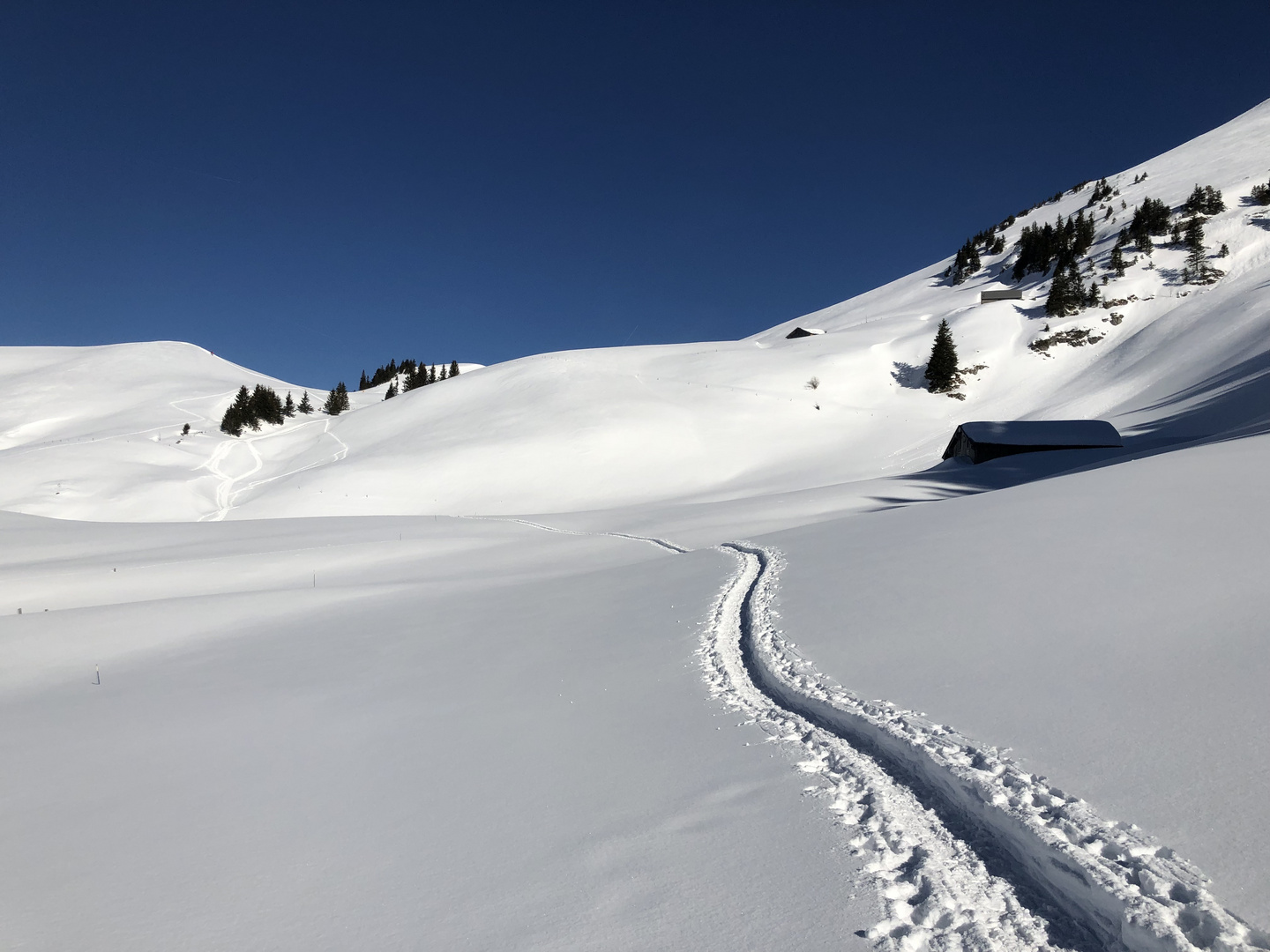Spuren im Schnee Foto &amp; Bild | erwachsene, jahreszeiten, winter Bilder