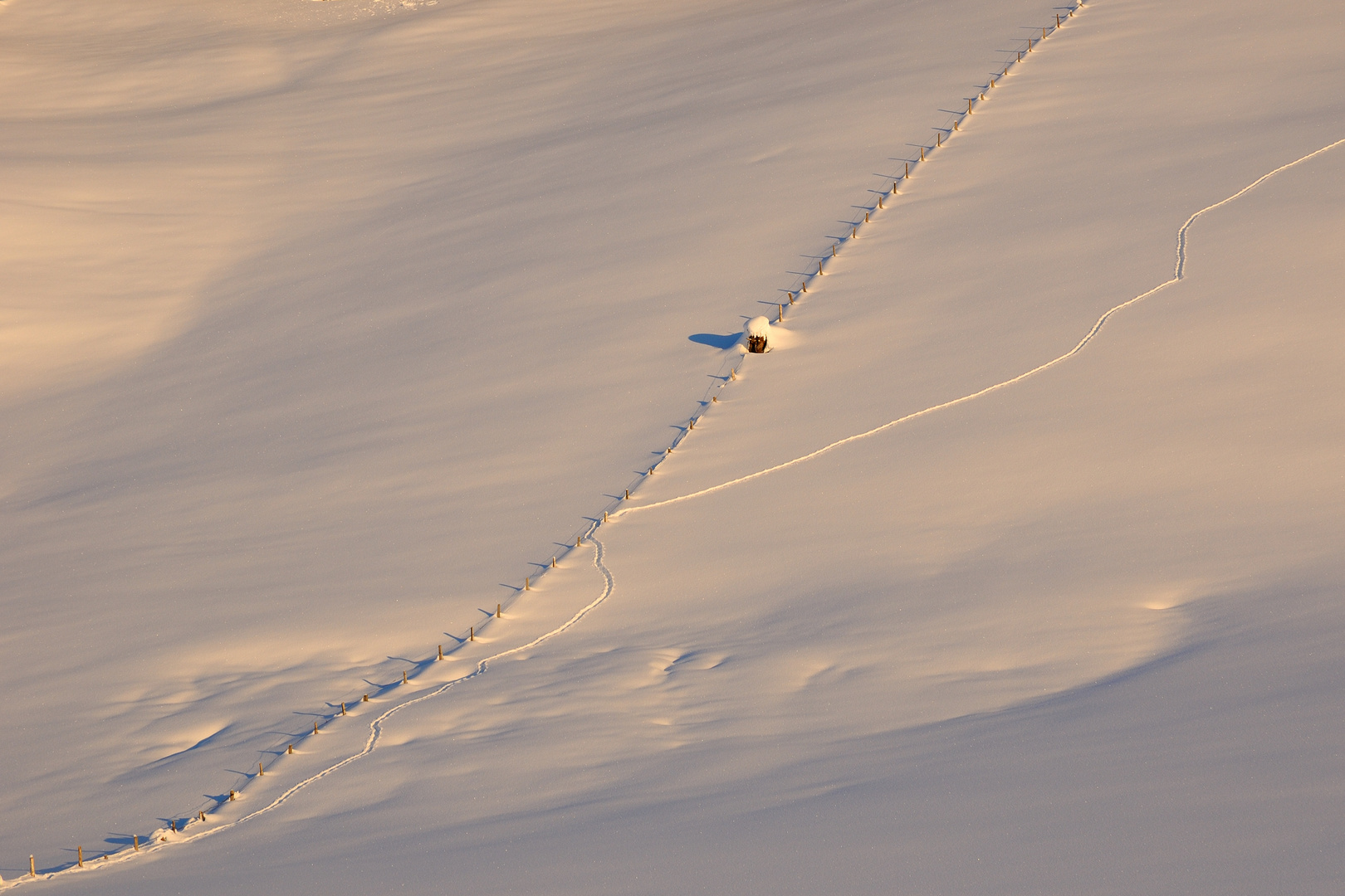 Spuren im Schnee