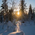 Spuren im Schnee