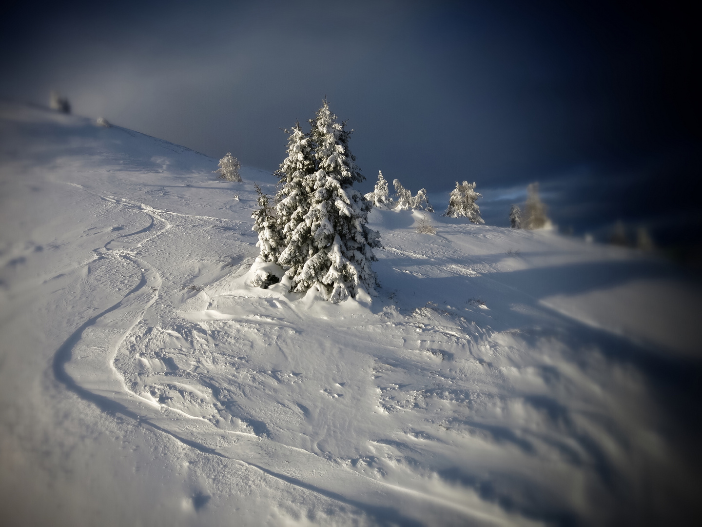 Spuren im Schnee