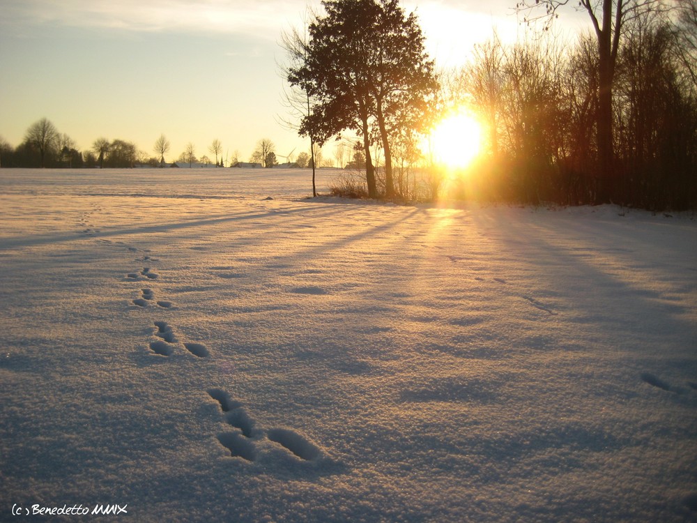 Spuren im Schnee