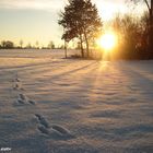 Spuren im Schnee