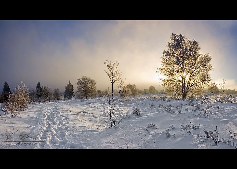 Spuren im Schnee