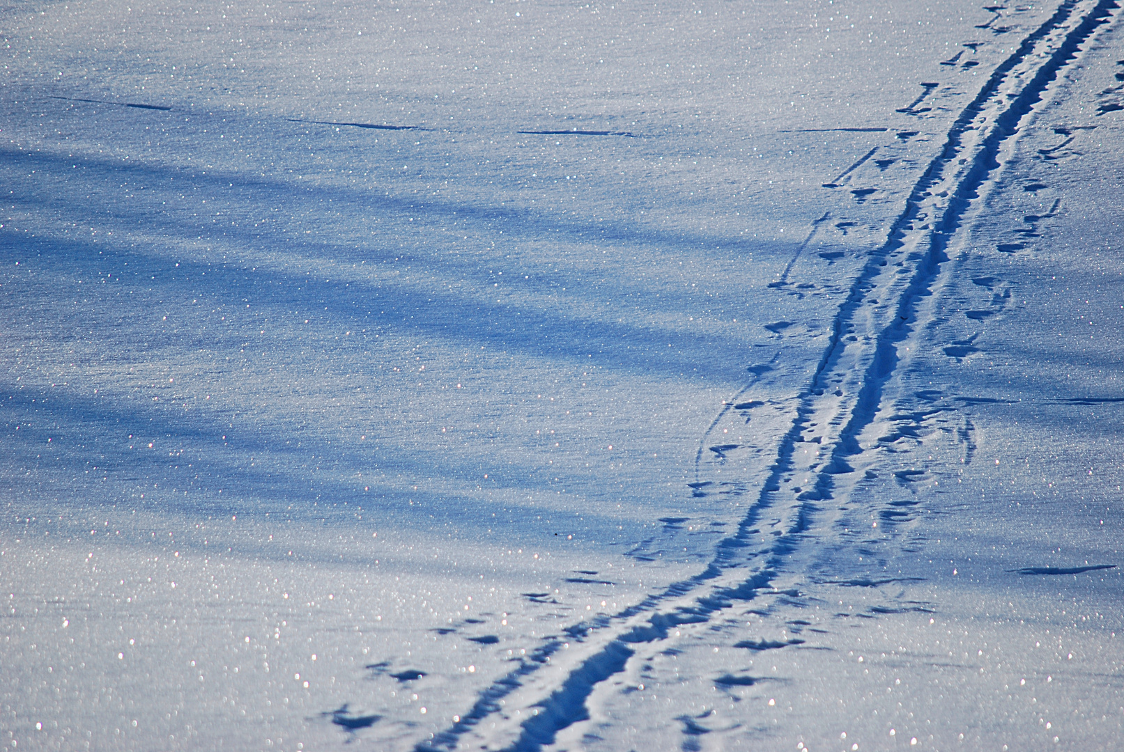 Spuren im Schnee...