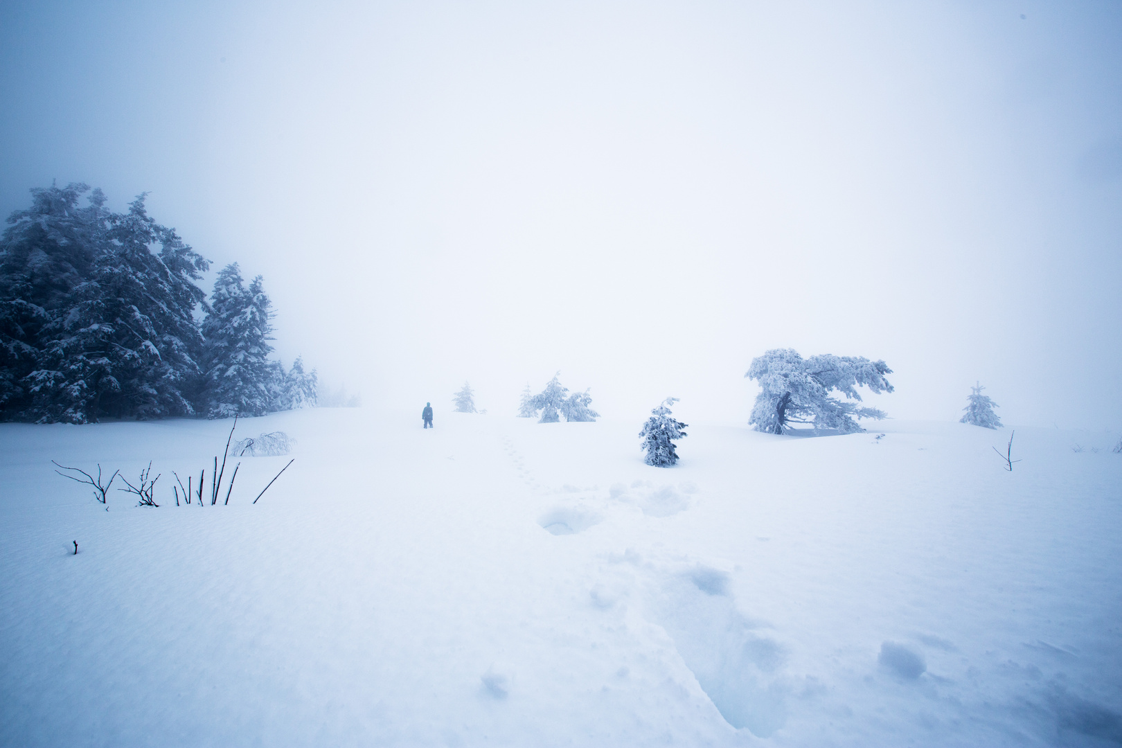 Spuren im Schnee 