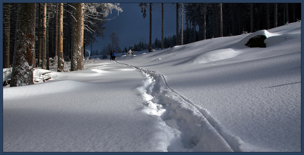 Spuren im Schnee