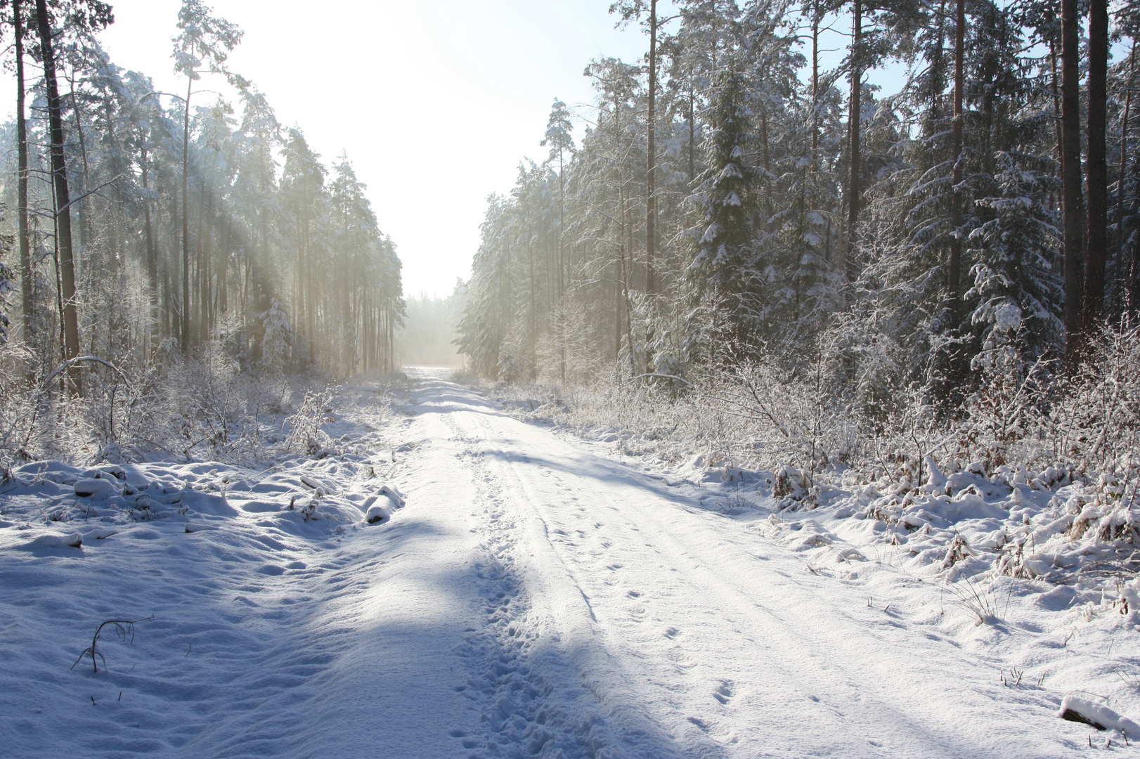 Spuren im Schnee