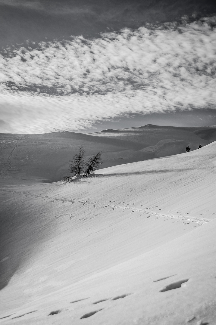 Spuren im Schnee