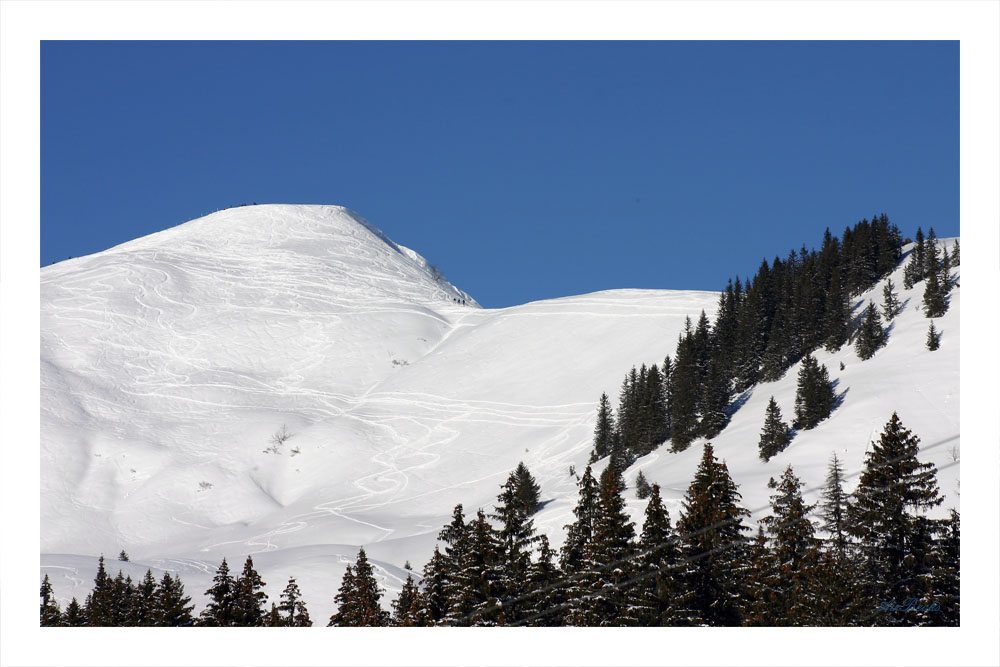 Spuren im Schnee