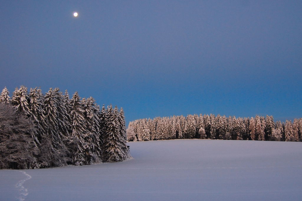 Spuren im Schnee