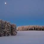 Spuren im Schnee