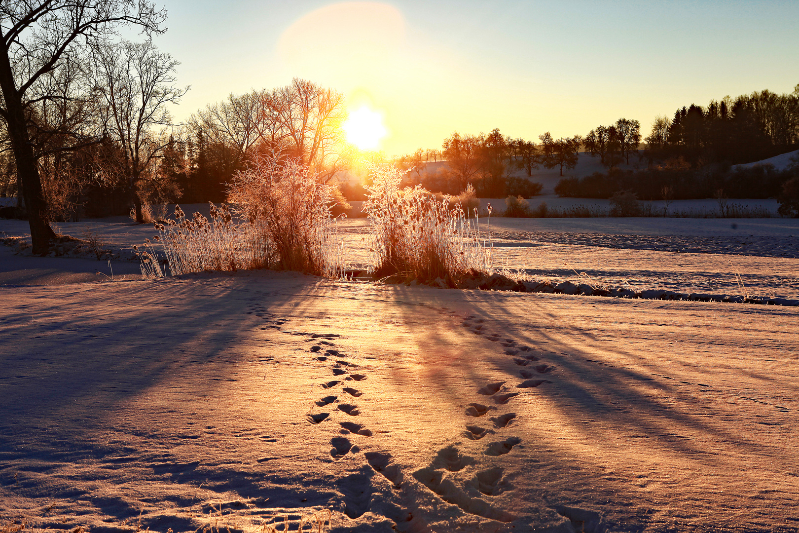 Spuren im Schnee