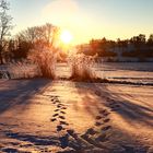 Spuren im Schnee