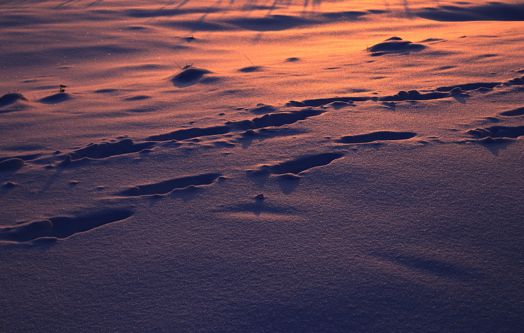 Spuren im Schnee