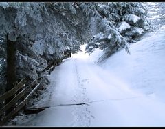 Spuren im Schnee