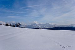 Spuren im Schnee