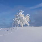 Spuren im Schnee