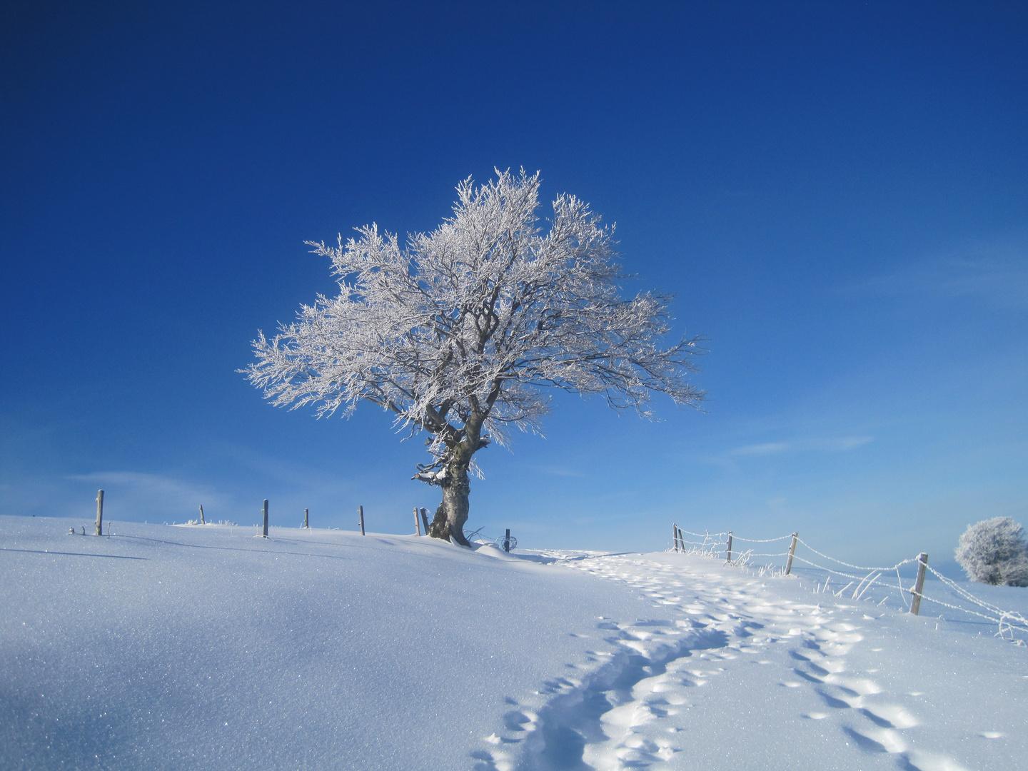 Spuren im Schnee